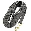 Padded Dog Training Lead Dog Leash Long Leash Long Leash for Dogs (1" Wide 5 Ft, Black) - 152.4 Cm