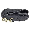 Padded Dog Training Lead - 1" Wide by 50 Ft Long Black Leash for Dogs - 30.5 Cm