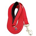 Padded Dog Training Lead Leash 30 Feet Long (1" Wide, Red)