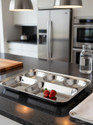 MSSteel Stainless steel bhojan thali compartment