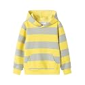 Mud Kingdom Little Girls Boys Hooded Sweatshirt Jersey Cotton Pullover Fashion Spring Fall