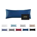 Mulberry Silk Pillowcase for Hair and Skin,Cooling Silk Pillow Case with Hidden Zipper,Allergen Proof Dual Sides Soft Breathable Smooth Silk Pillow Cover for Women (Gem Blue, Body)
