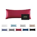 Mulberry Silk Pillowcase for Hair and Skin,Cooling Silk Pillow Case with Hidden Zipper,Allergen Proof Dual Sides Soft Breathable Smooth Silk Pillow Cover for Women (Dark Red, Body)