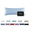 Mulberry Silk Pillowcase for Hair and Skin,Cooling Silk Pillow Case with Hidden Zipper,Allergen Proof Dual Sides Soft Breathable Smooth Silk Pillow Cover for Women (Light Blue,Body)