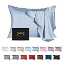 Mulberry Silk Pillowcase for Hair and Skin,Cooling Silk Pillow Case with Hidden Zipper,Allergen Proof Dual Sides Soft Breathable Smooth Silk Pillow Cover for Women (Light Blue,Queen)