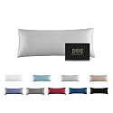 Mulberry Silk Pillowcase for Hair and Skin,Cooling Silk Pillow Case with Hidden Zipper,Allergen Proof Dual Sides Soft Breathable Smooth Silk Pillow Cover for Women (Light Gray, Body)