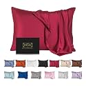 Mulberry Silk Pillowcase for Hair and Skin,King Size Cooling Silk Pillow Case with Hidden Zipper,Allergen Proof Dual Sides Soft Breathable Smooth Silk Pillow Cover for Women(King,Dark Red)