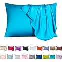 Mulberry Silk Pillowcase for Hair and Skin,Queen Size Cooling Silk Pillow Case with Hidden Zipper,Allergen Proof Dual Sides Soft Breathable Smooth Silk Pillow Cover for Women(Queen,Ice+ Blue)