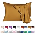 Mulberry Silk Pillowcase for Hair and Skin,Queen Size Cooling Silk Pillow Case with Hidden Zipper,Allergen Proof Dual Sides Soft Breathable Smooth Silk Pillow Cover for Women(Queen,Golden)