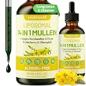 Mullein Drops For Lungs, Liposomal 14 In 1 Mullein - Lung Cleanse & Detox
