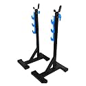 Multifunction Bench Press Stand/Squat Rack for Home Gym
