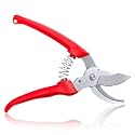 MULTITEC PSA01 Pruning Shear | Stainless Steel Garden Cutter with 15mm Cutting Capacity | Manual Secateur for Branch, Stem &amp; Plant Trimming