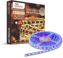 MURPHY 300 LEDs 5 m Blue Steady Strip Rice Lights