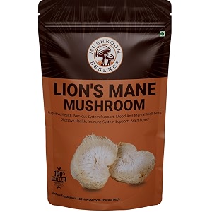 lions mane mushroom 40g  pure lion mane mushroom fruit body  lions mane mushroom for cognitive health memory amp immune support