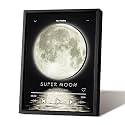 Music Picture Frame Bluetooth Speaker - Rotating Turntable Wireless Speaker Song Plaque, Light Up Music Plaque Art Paintings Frame with LED Light, Home Desk Decor Gifts for Men & Women (Moon-2)