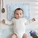 Mustard Seed Comfort Cushion with Extra Cover