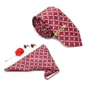 MUTAQINOTI Mens Red Silk Necktie Set Incl Pocket Square Cufflinks Golden Tiepin Brooch American Style Formal Tie Gift Set for Men (FRGP)