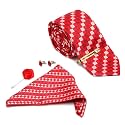 MUTAQINOTI Mens Red Silk Necktie Set Incl Pocket Square Cufflinks Golden Tiepin Brooch American Style Formal Tie Gift Set for Men (FRGP)
