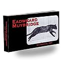 Muybridge Cat Flipbook for Kids Ages 6-12, Animation Flip Book for Children