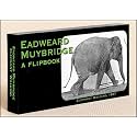 Muybridge Elephant Flipbook for Kids 6-12, Animation Flip Book for Children