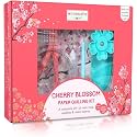 MY CREATIVE CAMP Paper Quilling Kit for Beginners – DIY Craft Kit for Kids, Teens & Adults with Tools, Instructions & Storage, Creative Art Projects & Wall Décor (Cherry Blossom Kit)