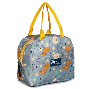 my fav insulated lunch bag  thermal cool food bag with dinosaur print  lunch box holder for men  women amp kids  tiffin bag for office  school  travel  picnic amp beach  multicolor 2 dinosaur