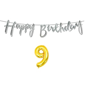 9th happy birthday decoration kit silver for 9 year old boys girls kids with number nine decorations decor celebration items item set combo reusable cursive banner