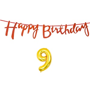 9th happy birthday decoration kit orange for 9 year old boys girls kids with number nine decorations decor celebration items item set combo reusable cursive banner