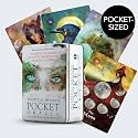 Hay House Mystical Shaman Pocket Oracle Card Game: A 64-Card Deck and Guidebook