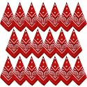 NACHLYNN 10/20pcs Paisley Bandanas Assorted Bandanas Cowboy Polyester Headbands Square Scarf Headwear