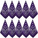 NACHLYNN 10/20pcs Paisley Bandanas Assorted Bandanas Cowboy Polyester Headbands Square Scarf Headwear