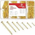 Nails Assortment Kit - 700 PCS Galvanized High Carbon Nails for Hanging Art