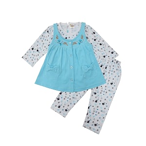 NammaBaby Premium Baby Girls Full Sleeves Frock