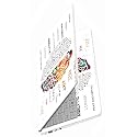 Full Body Panel Laptop Skins Sticker Laminated HD Quality Vinyl fits Upto 15.6 inches Compatible with Dell, Lenovo, Acer, HP, Asus - Brain Art-Self-Adhesive