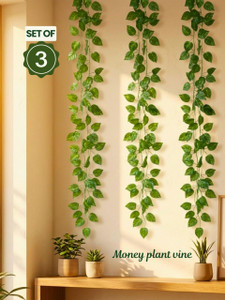 Nandi Artificial Money Plant 8Ft Creeper Set