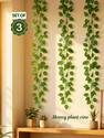 Nandi Artificial Money Plant 8Ft Creeper Set