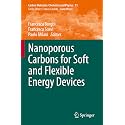 Nanoporous Carbons for Soft and Flexible Energy Devices: 11 (Carbon Materials: Chemistry and Physics, 11)