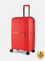 NASHER MILES Springfield HardSide Polypropylene Checkin Luggage