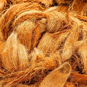 natural amp organic coconut husk fiber  fresh raw coconut husk for orchid potting bbq fire starter compost mulch amp garden nariyal jatta-thenga husk coconut husk 1 kilograms
