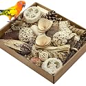 Natural Bird Toy Foraging Parrot Shredding Toys Box Conure Chewing Toys for Cockatiel Lovebird Parakeet Budgie Small-Medium Birds (Nature Color)