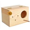 Natural Breeding Box for Medium Size Birds (Parrots, Cockatiels etc) with Perch Attached