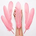Natural Dyed Goose Quills 12-14 Inch (5 Pieces) (Bubblegum Pink)
