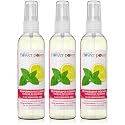 Natural Flower Power Air Freshener Spray - Odor Eliminator with Essential Oils for the Home, Car &amp; Fabric - Cruelty Free &amp; Vegan - Peppermint &amp; Lemon - 3 x 4 oz
