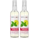 Natural Flower Power Air Freshener Spray - Odor Eliminator with Essential Oils for the Home, Car &amp; Fabric - Cruelty Free &amp; Vegan - Peppermint &amp; Lemon - 2 x 4 oz