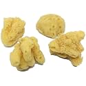 Natural Hermit Crab Sea Sponges 4 Jumbo, Water Dish, Humidity & Habitat