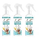 Natural Lizard Repellent Spray for Home, Plant-Based Pest Control, Chemical-Free Baby & Pet Safe, Indoor Outdoor Anti Lizard Spray for Kitchen, Balcony, Walls & Windows, 200ML (3 PC)
