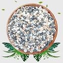 Natural Mixed Color Pea Gravel Pebbles, 2lbs (1/5 Inch) Decorative Stones for Succulents, Indoor Plants, Vases, Aquariums, Top Dressing, and Outdoor Landscaping