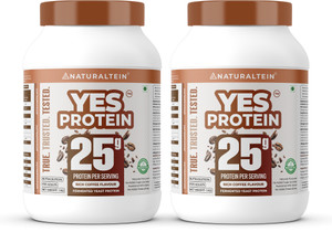 naturaltein fermented yeast protein powder  25g protein per scoop  vegan plant protein plant-based protein
