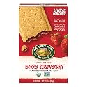 Nature's Path Organic Berry Strawberry Toaster Pastries, 11 oz (Pack of 1)