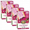 Nature's Path Organic Frosted Cherry Pomegranate Toaster Pastries, 11 oz, Non-GMO (Pack of 24)